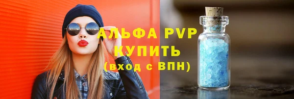 хмурый Абаза