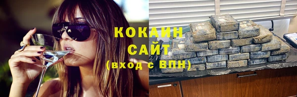 хмурый Абаза